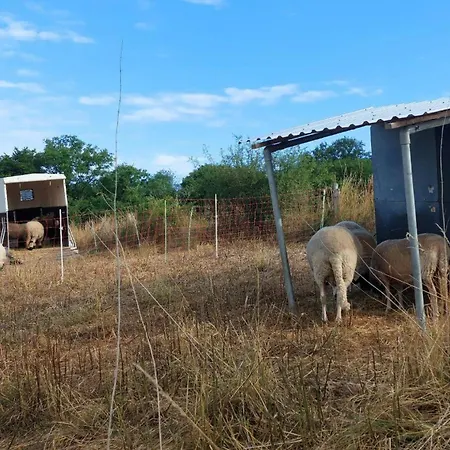Appartamento Muehlbachhof