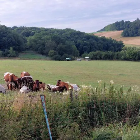 Muehlbachhof Apartment *