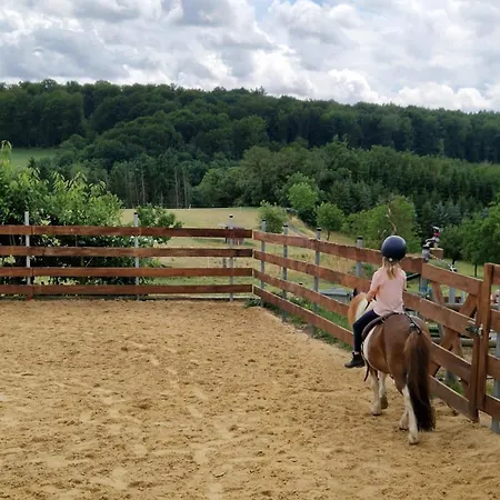 Apartment Muehlbachhof *