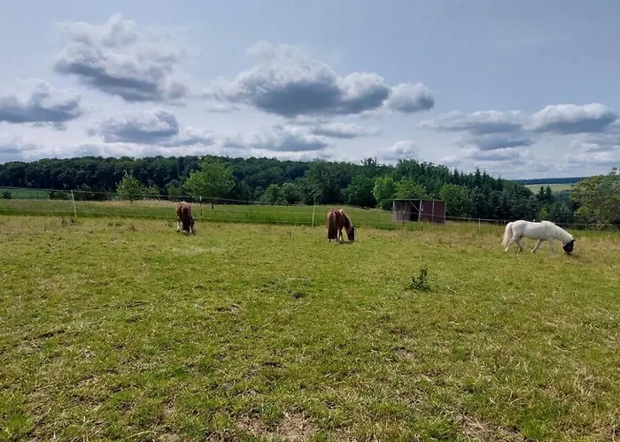 Muehlbachhof Appartamento Berg (Rhein-Lahn)