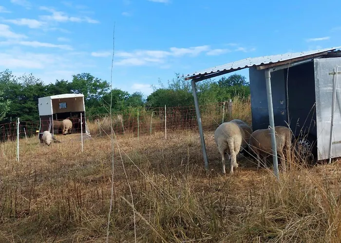 아파트 Muehlbachhof