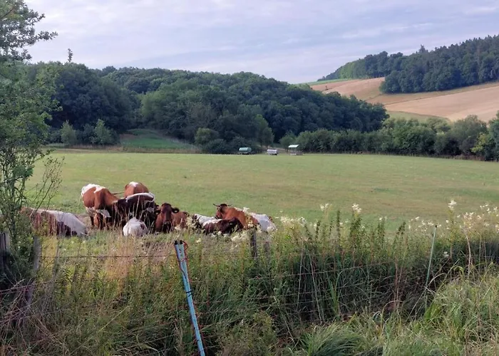 Muehlbachhof Appartamento *