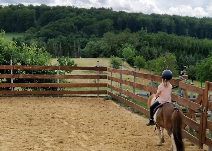 Appartamento Muehlbachhof *