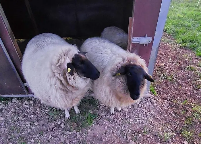 Muehlbachhof Appartamento